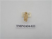 藏品(雙線苔蛾)的圖片